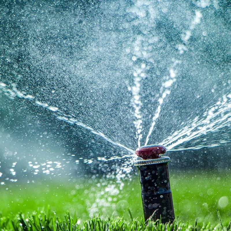 Newly Repaired Irrigation System — Santee, CA — Hatch Irrigation Newly Repaired Irrigation System — Santee, CA — Hatch Irrigation