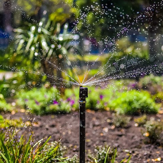 Irrigation System — Santee, CA — Hatch Irrigation Irrigation System — Santee, CA — Hatch Irrigation