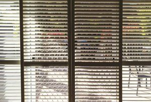window blinds