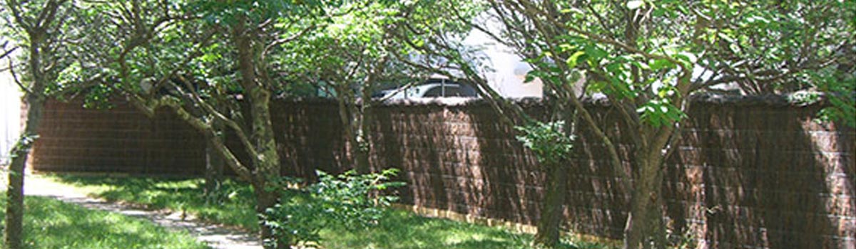 Brush Fencing Chris Griffiths Home Brush Fencing Chris Griffiths Home