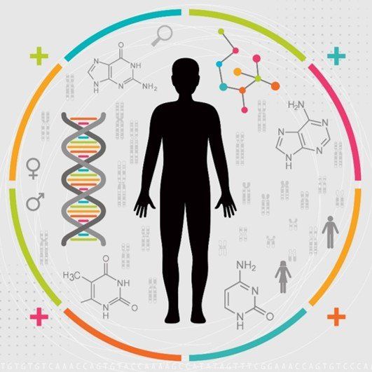 epi genetics for hair regrowth