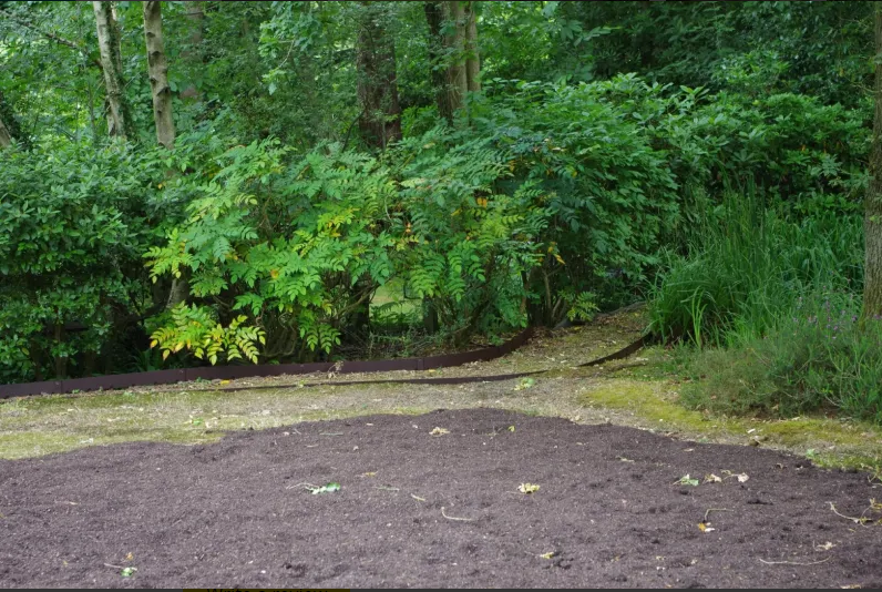 Dirt and plants