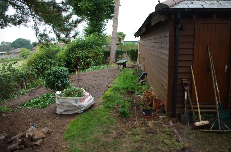 Backyard garden