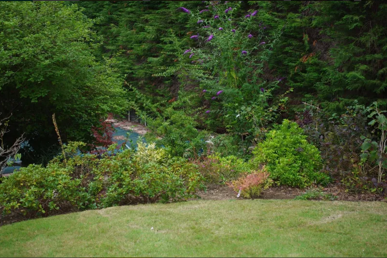 Lush garden
