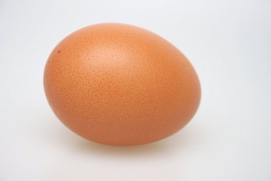 uovo