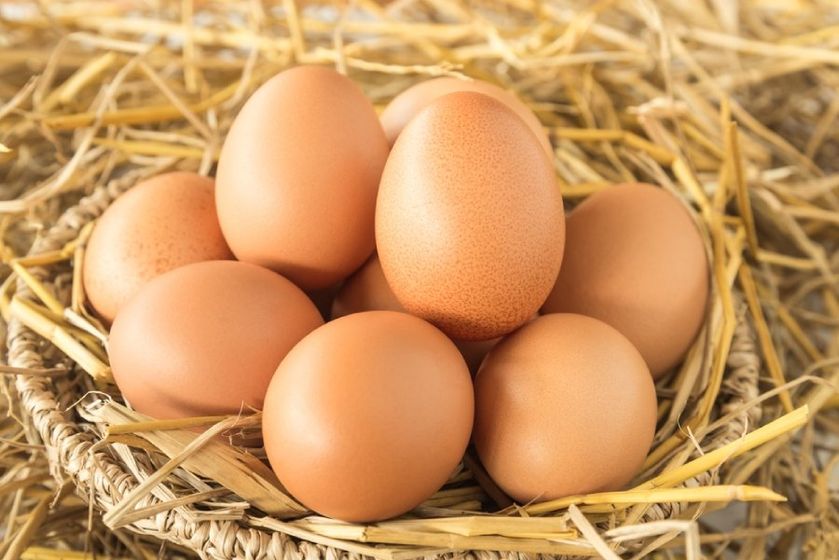 uova