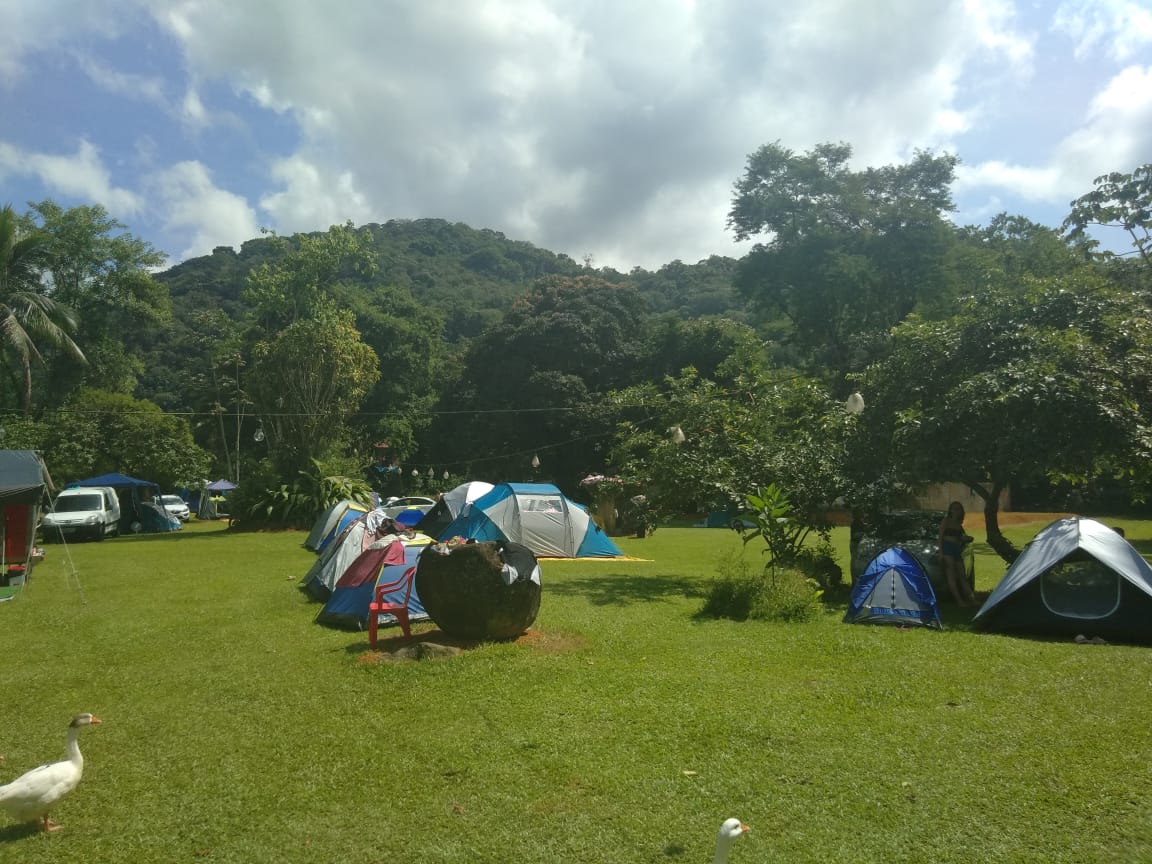 Um grupo de tendas está montado em um campo gramado