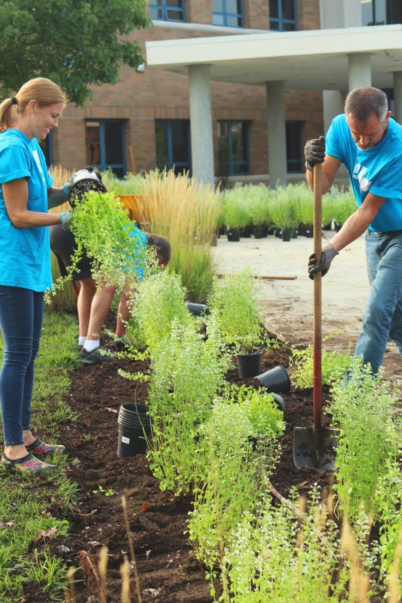 People planting flowers in a garden bed outdoors; building in the background.