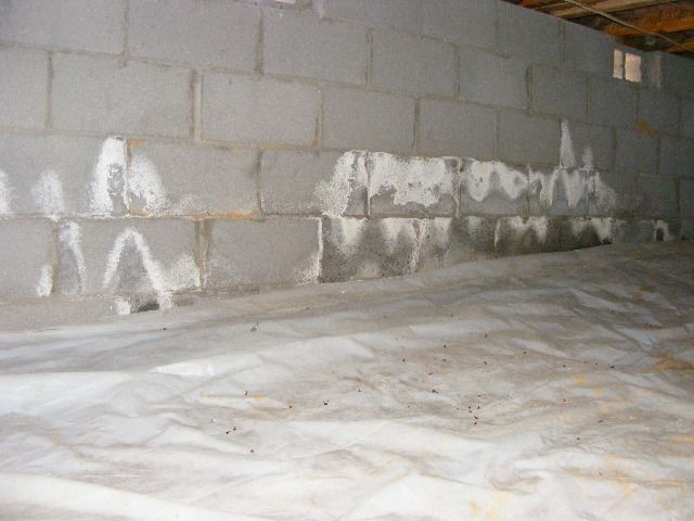 Moisture in Crawlspace