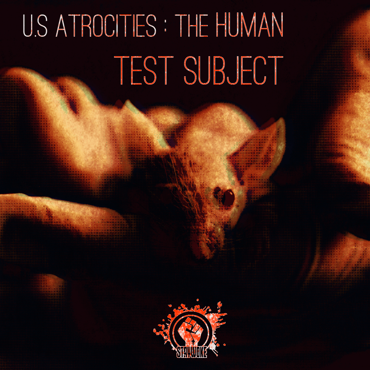 U.S Atrocities : The Human Test Subject