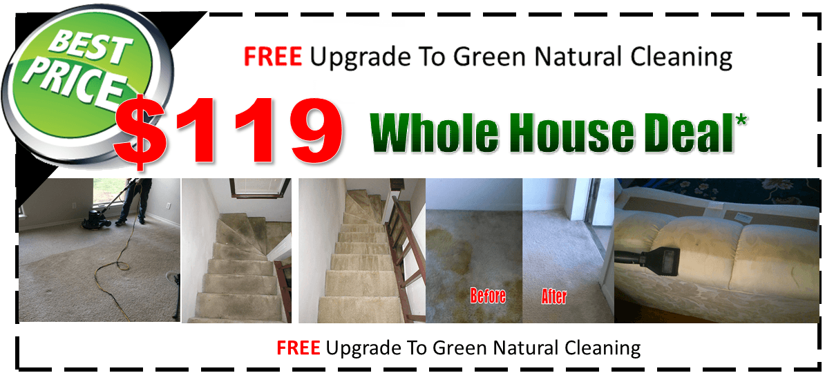 steam carpet cleaning, area rug cleaning