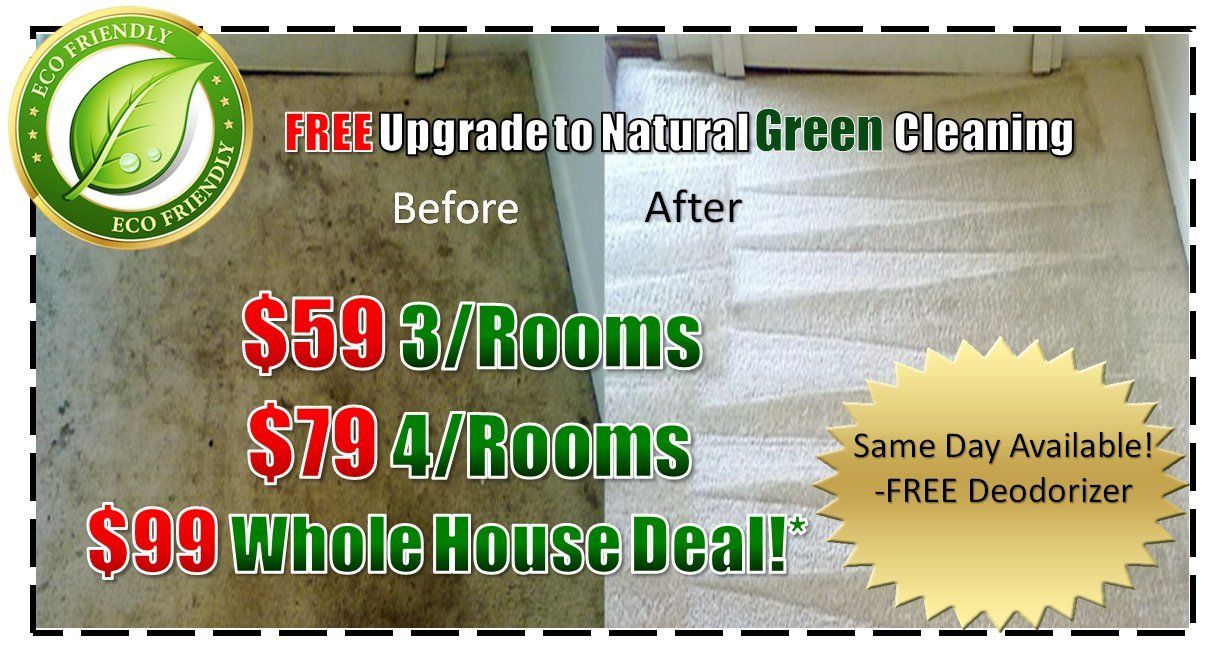 steam carpet cleaners