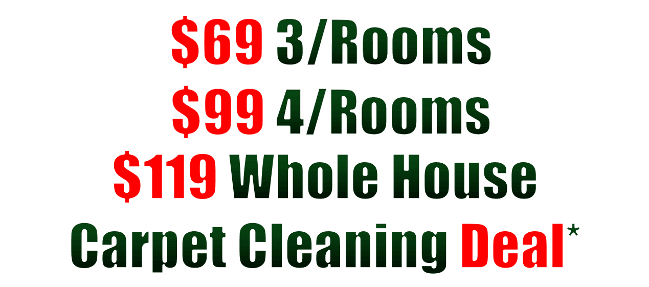 carpet steam cleaners, steam carpet cleaning, professional carpet cleaners