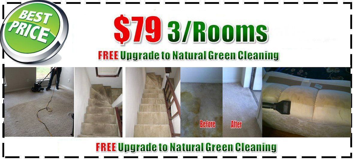 steam carpet cleaning