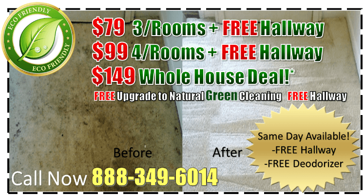carpet cleaning, steam carpet cleaning, professional carpet cleaners