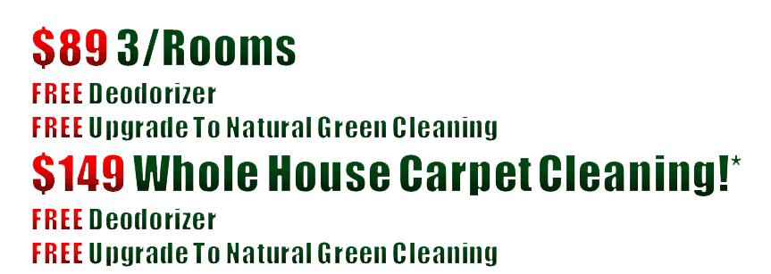 steam carpet cleaning