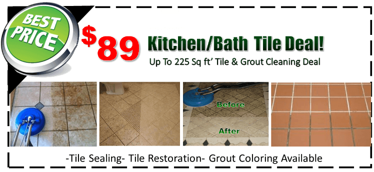 carpet cleaning professional
