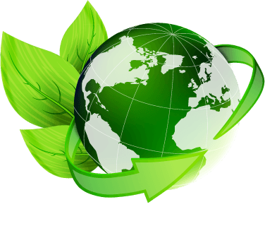 green steam carpet cleaning