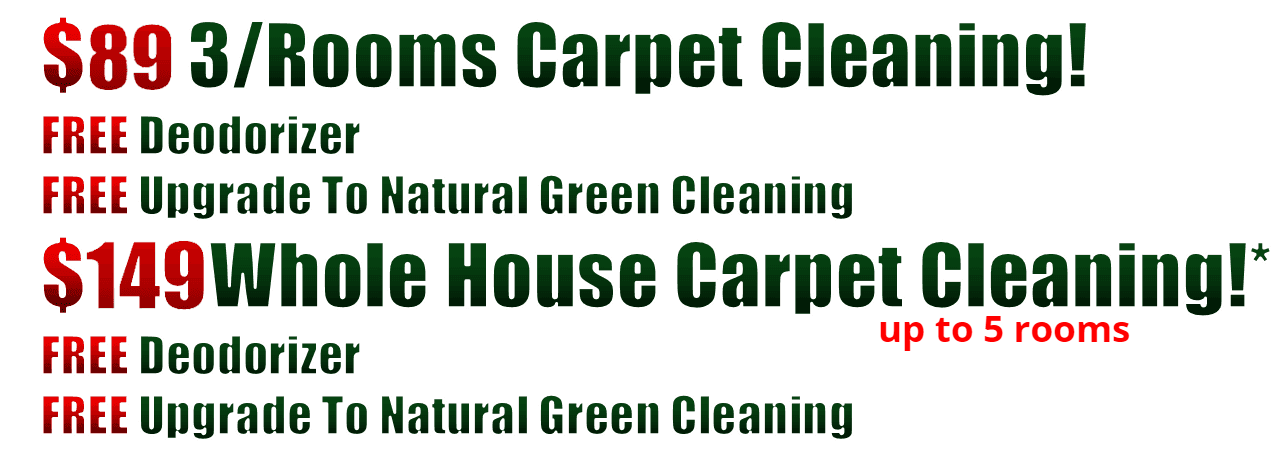 carpet steam cleaners, steam carpet cleaning, professional carpet cleaners