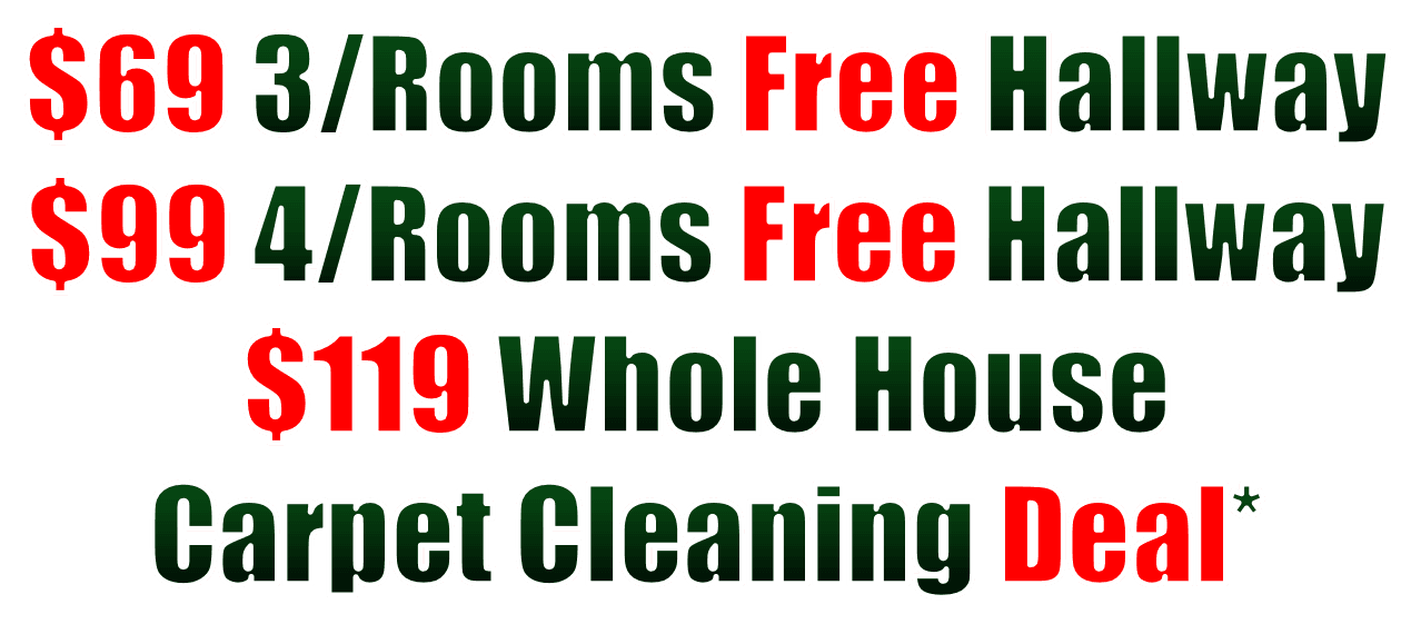 steam cleaning services