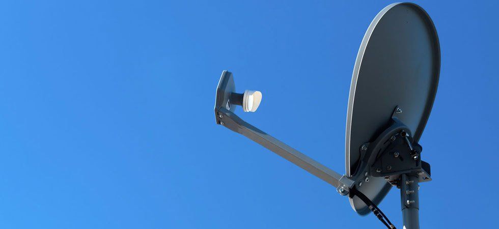 Dish 