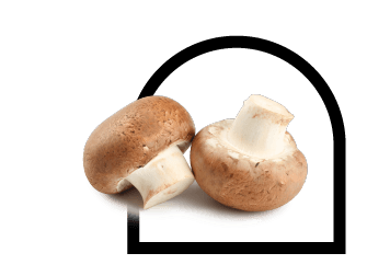 Mushrooms