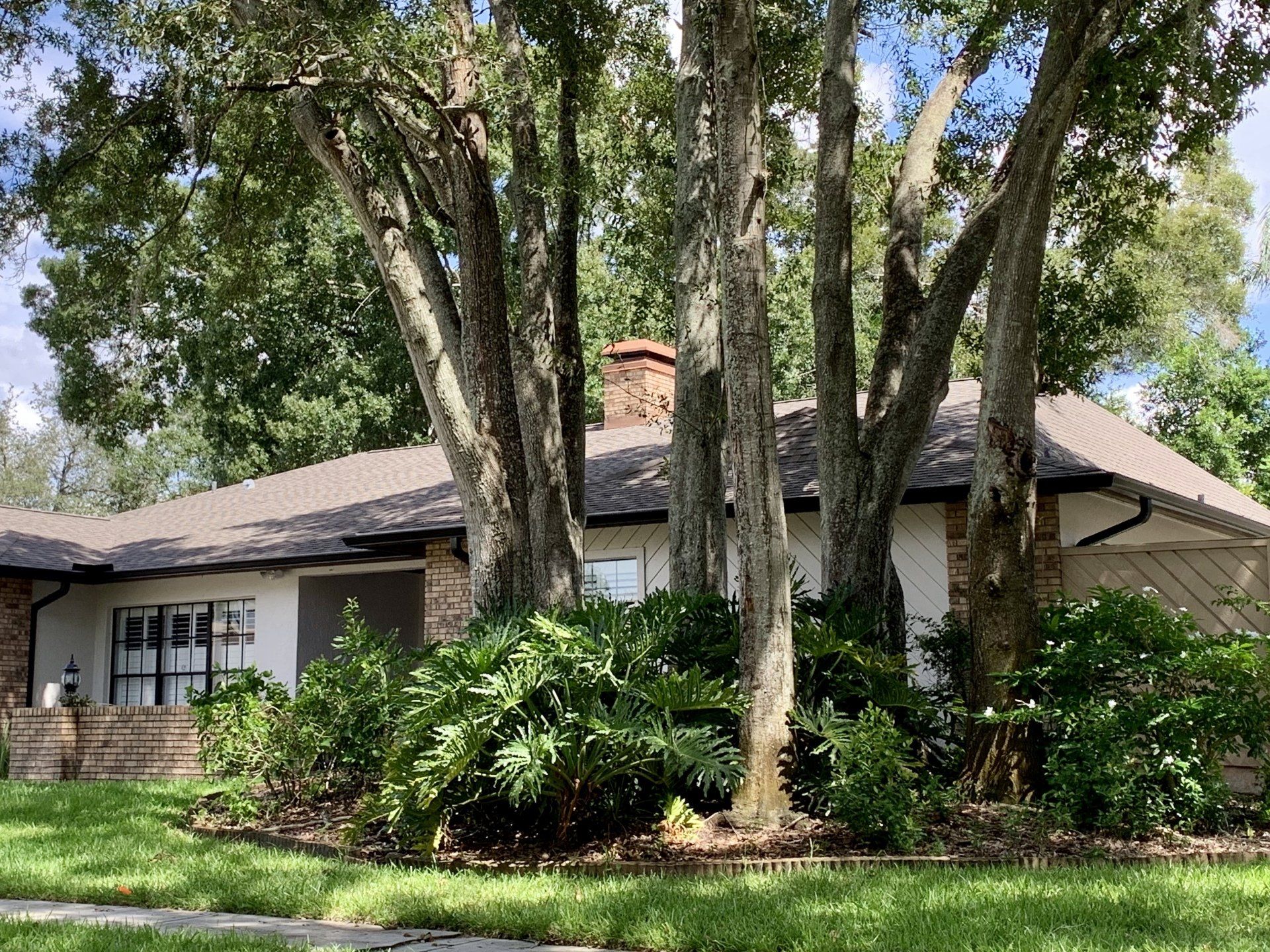 Brown gutters