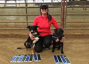 Amanda Brandenburg — Obedience Training in Versailles, KY Amanda Brandenburg — Obedience Training in Versailles, KY