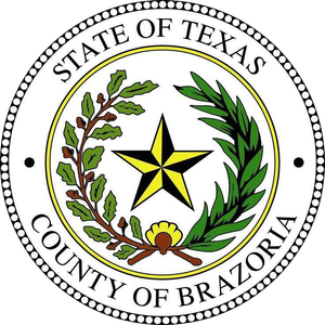 The seal of the state of texas county of brazoria