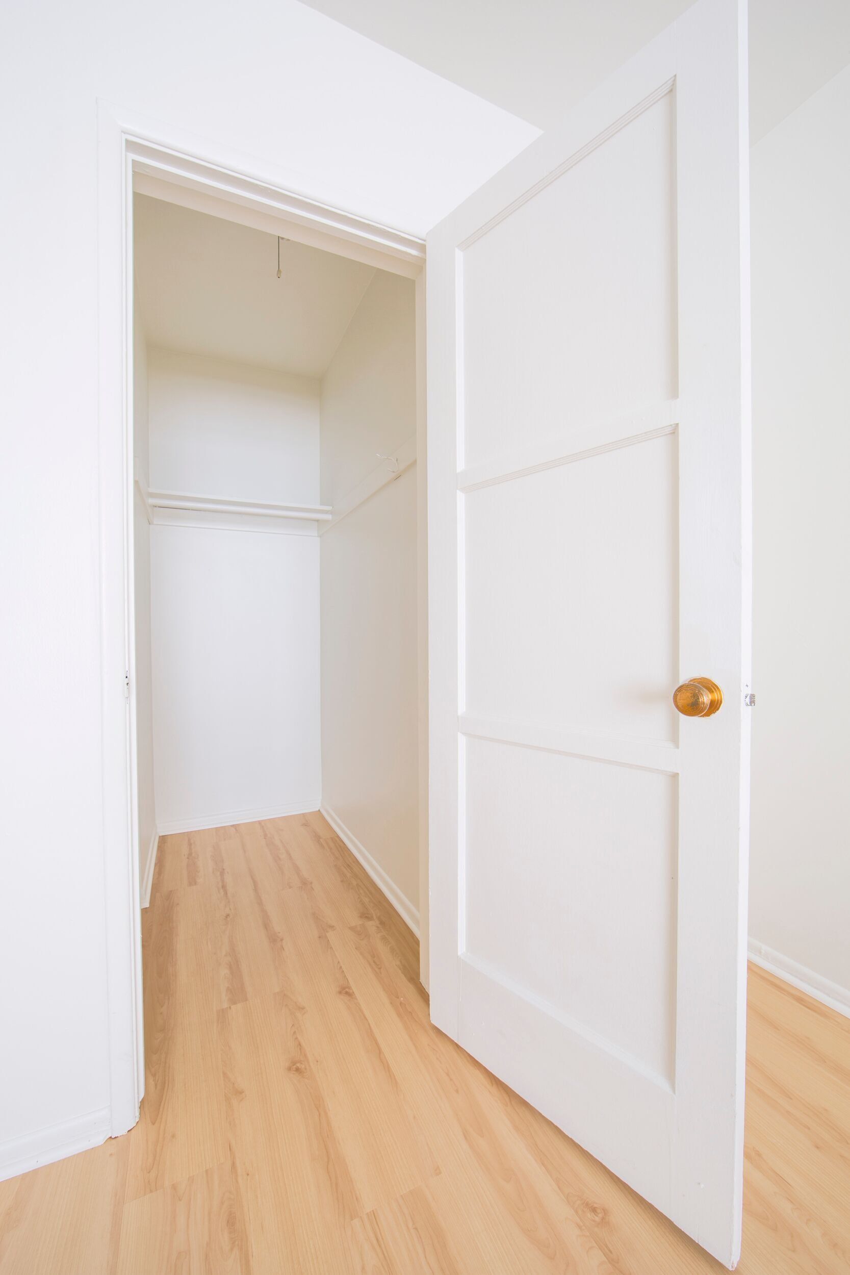 walk in closet with door