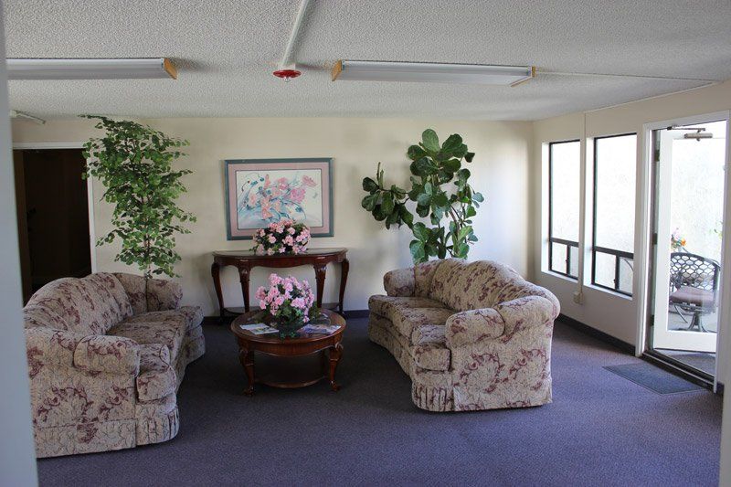 tan couches