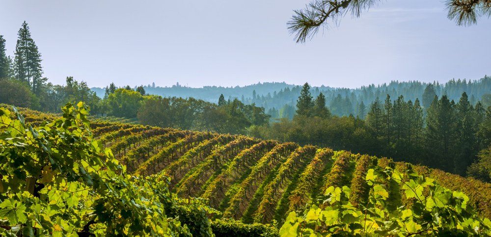 el dorado county hillside