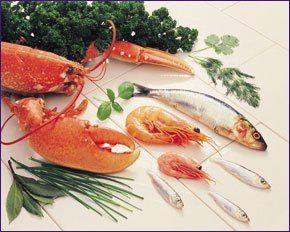 If you want a fishmongers in Grays, Essex call 01375 370060 If you want a fishmongers in Grays, Essex call 01375 370060