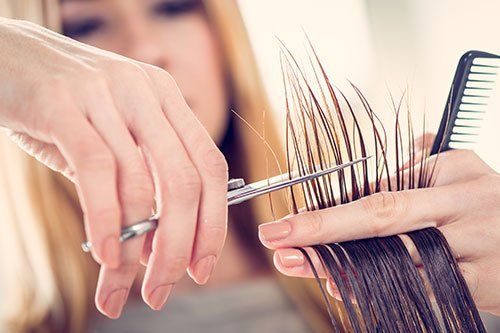 Salon — Hair Cut in Waterbury, CT