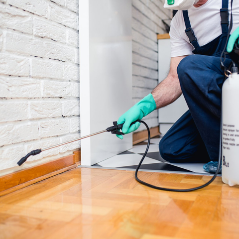 man spraying pest repellent in home