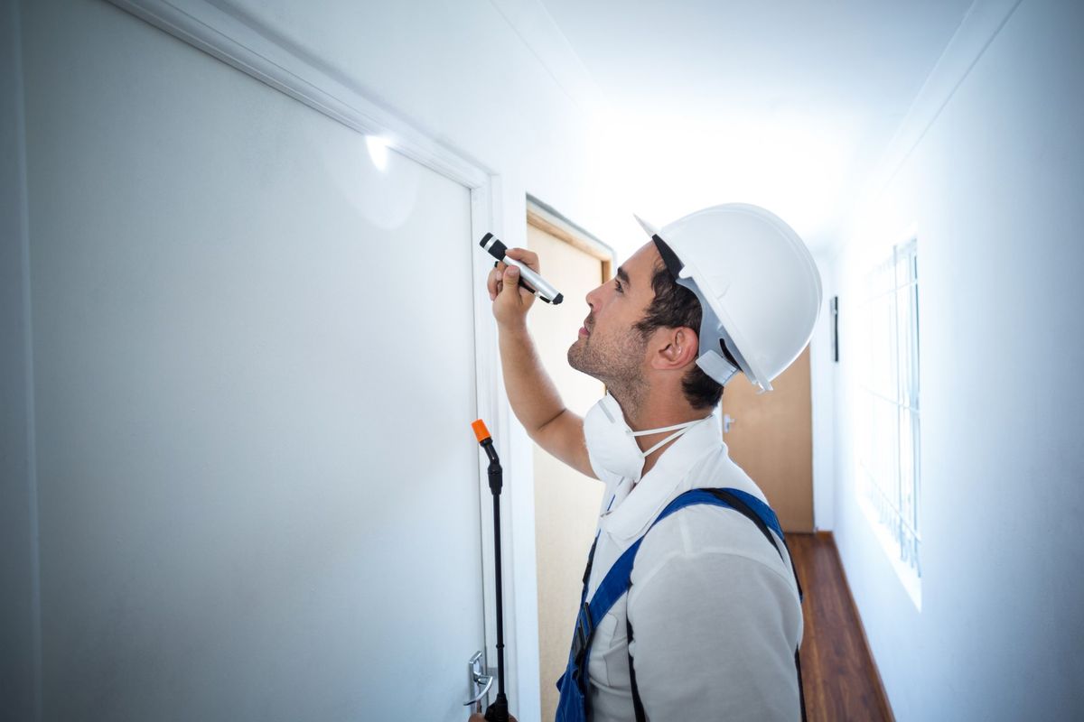 man inspecting house for pests