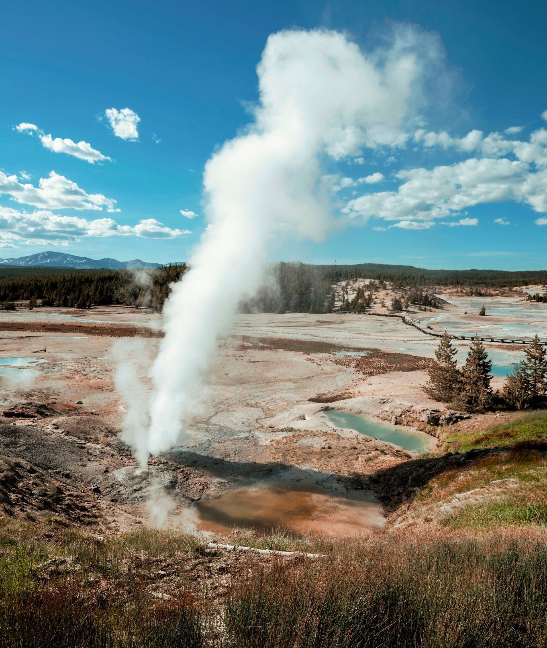 Tours of Yellowstone