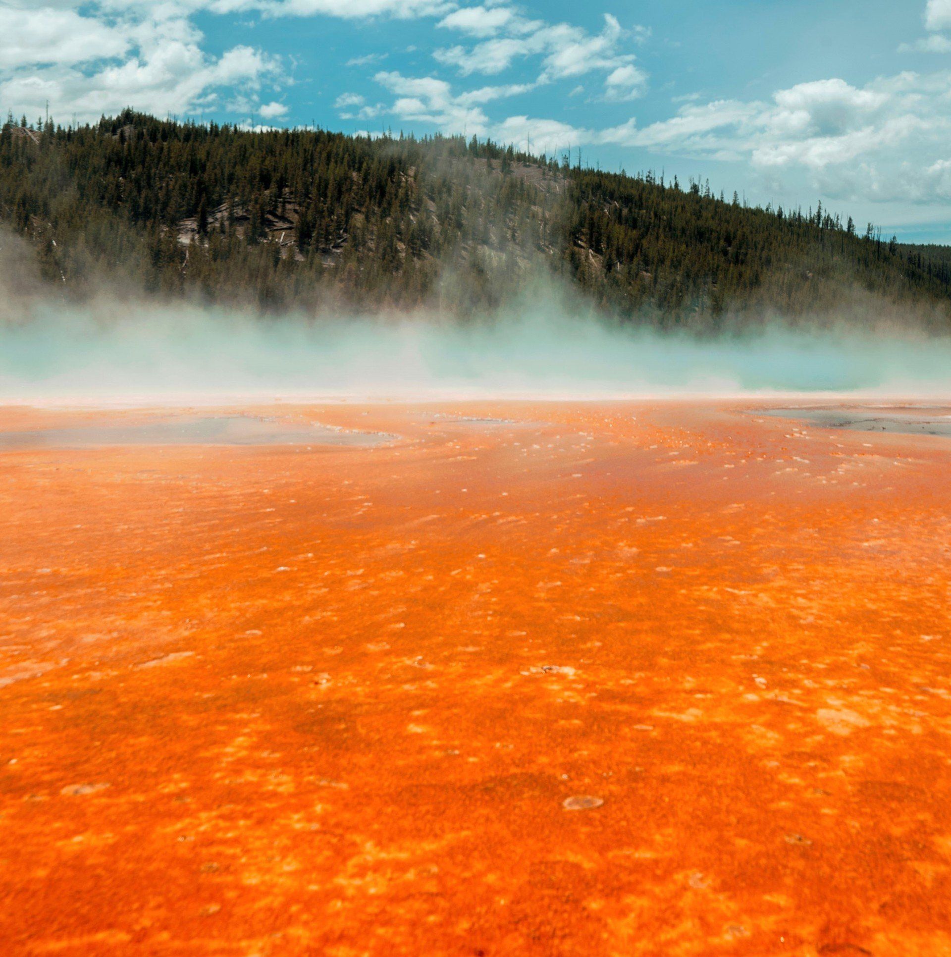 Tours of Yellowstone