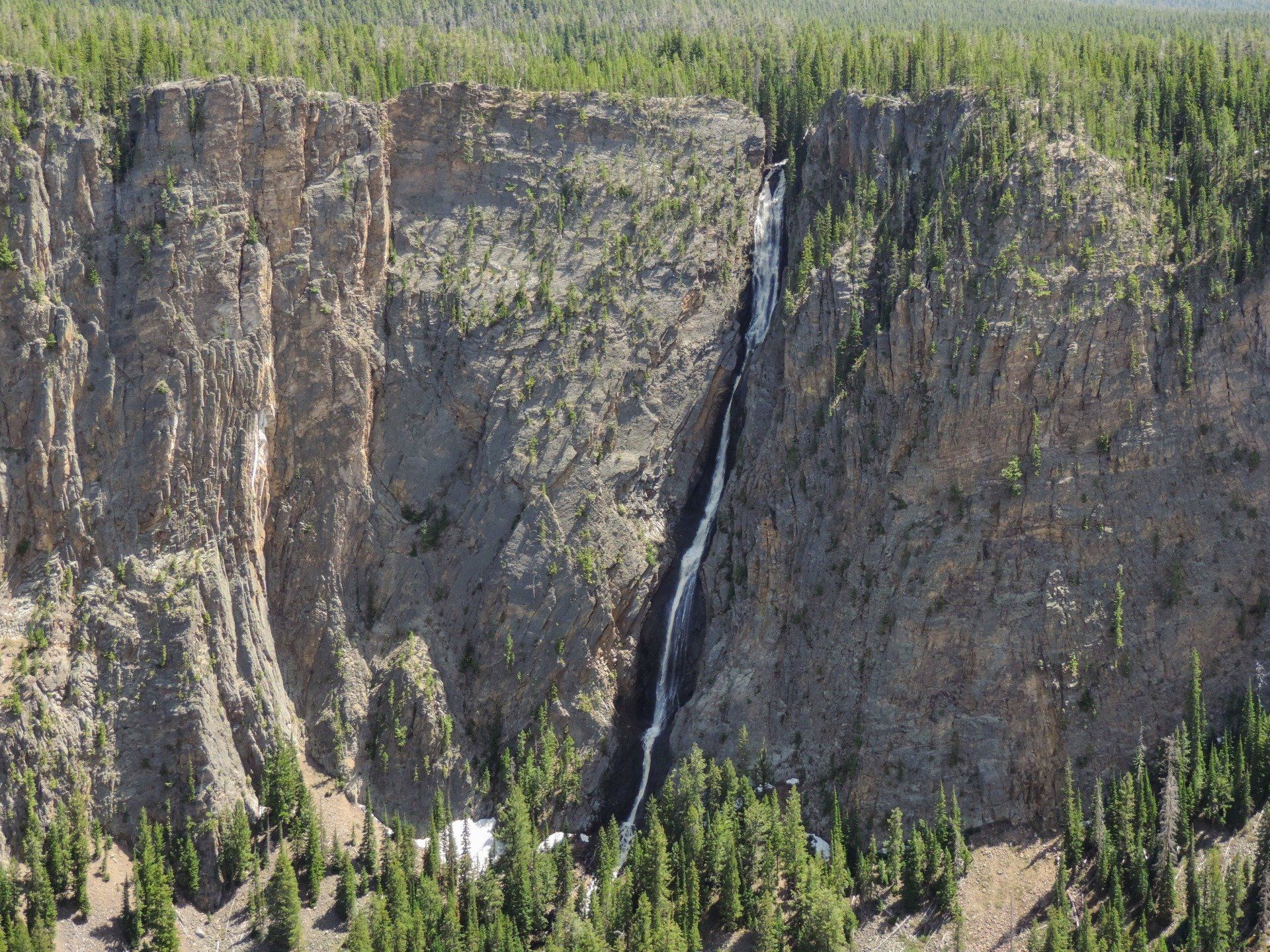 Tours of Yellowstone