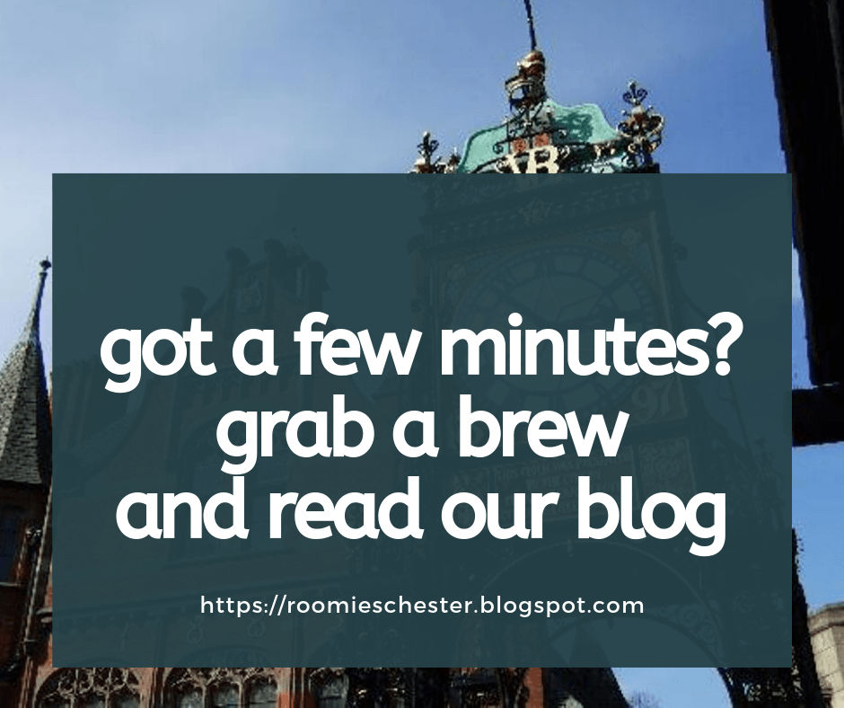 read our latest blog the word blog