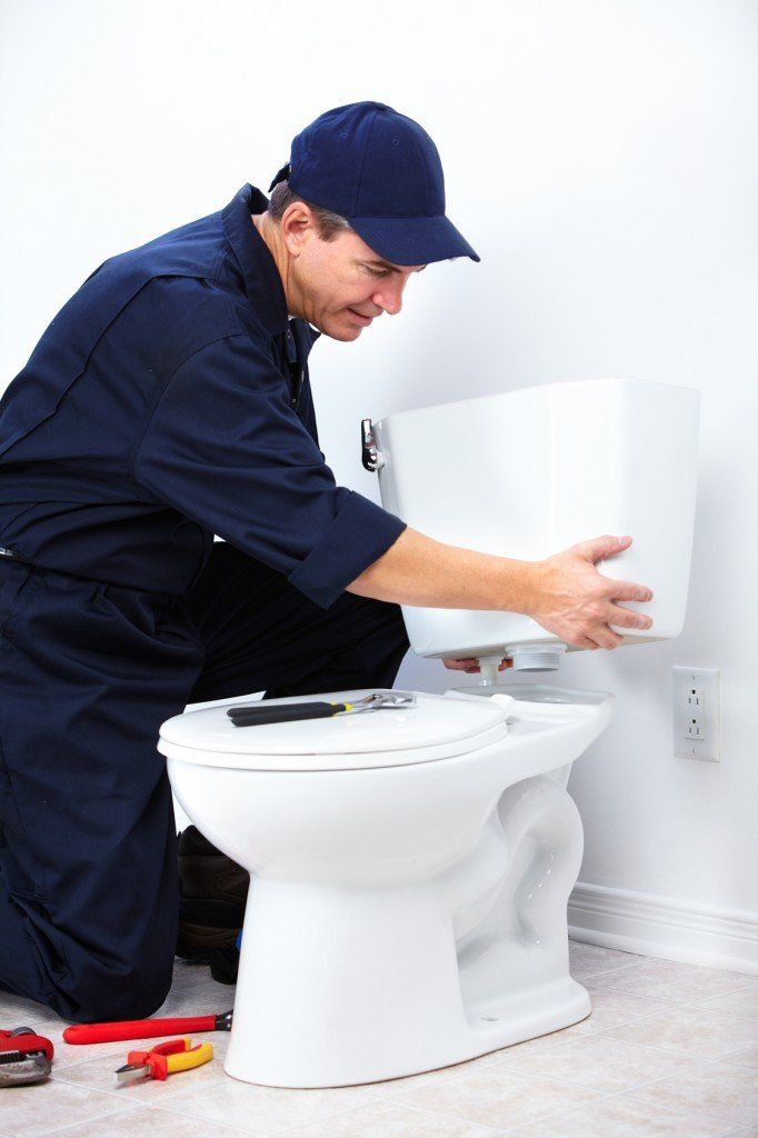 Sostituzione WC