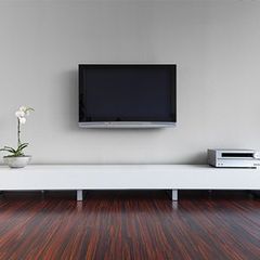Wall mounted TV