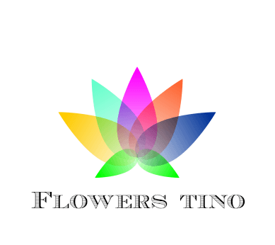A logo for flowers tino with a colorful flower