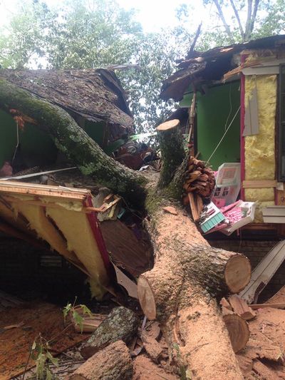 Tree Fell To A House — Monroe, LA — Munholland Tree Service Tree Fell To A House — Monroe, LA — Munholland Tree Service