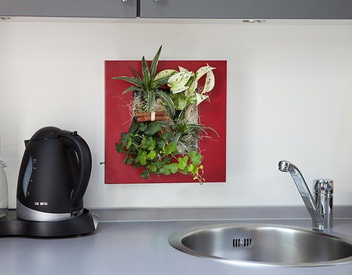 Picture of a living frame