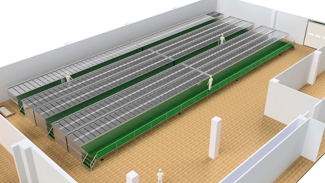 Progettazione impianti industriali caseari