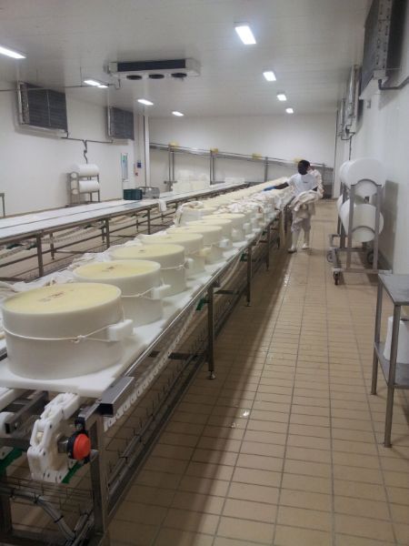 nastri idonei per il settore caseario