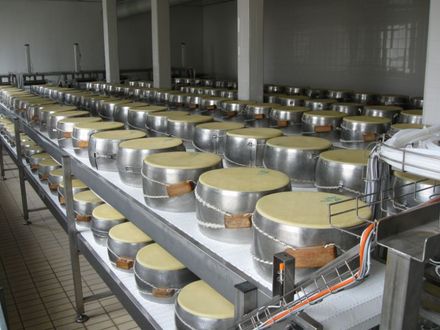 Installazione di macchinari con ribaltatore automatico
