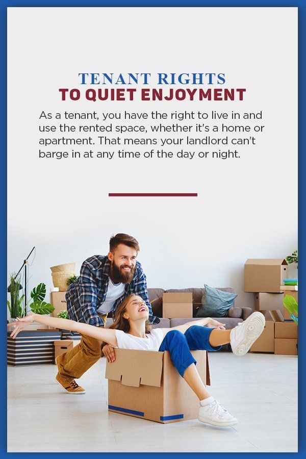 man pushes cardboard box which a woman is sitting in