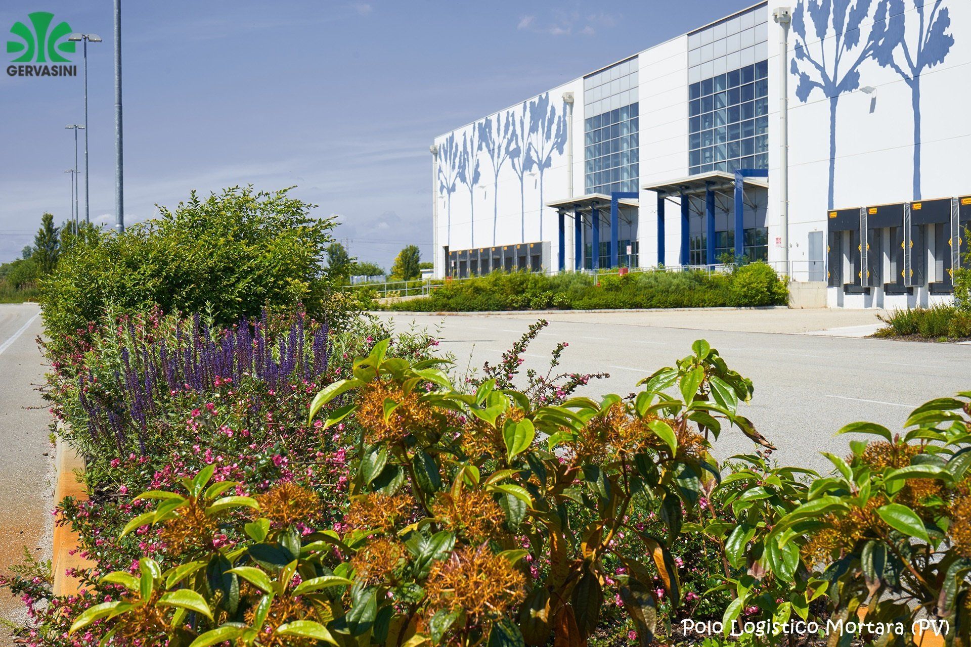 Polo Logistico Mortara (PV) VERDE PUBBLICO